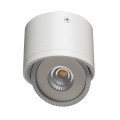 Точечный накладной светильник Arte Lamp STUDIO A4105PL-1WH