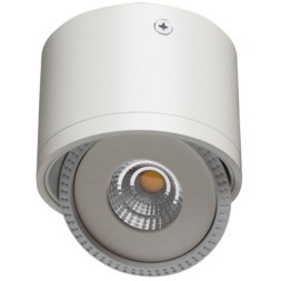 Точечный накладной светильник Arte Lamp STUDIO A4105PL-1WH