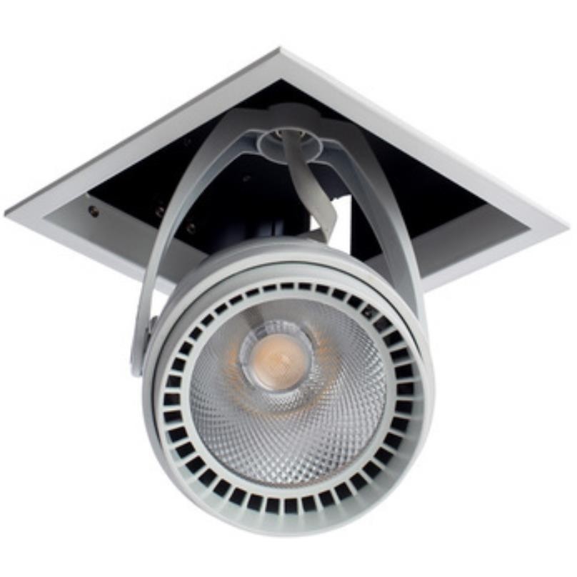 Спот Arte Lamp CARDANI A1618PL-1WH