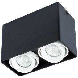 Точечный накладной светильник Arte Lamp PICTOR A5655PL-2BK