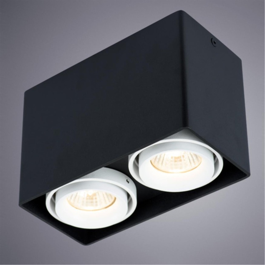 Точечный накладной светильник Arte Lamp PICTOR A5655PL-2BK