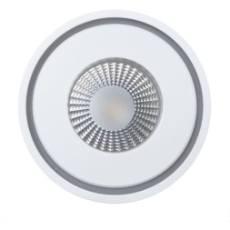 Настенно-потолочный светильник Arte Lamp A7248PL-1WH AIN светодиодный LED 7W