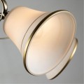Люстра потолочная Arte Lamp A2709PL-5AB BLOSSOM под лампы 5xE27 60W