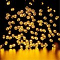 Гирлянда Arte Lamp TWINKLE A8412IN-100YL