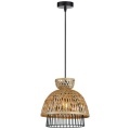 Подвесной светильник Arte Lamp WOODSTOCK A7070SP-1BK