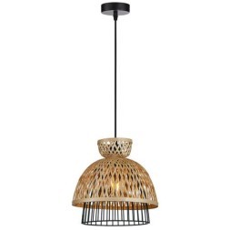 Подвесной светильник Arte Lamp WOODSTOCK A7070SP-1BK