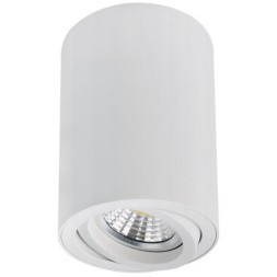 Точечный накладной светильник Arte Lamp SENTRY A1566PL-1WH