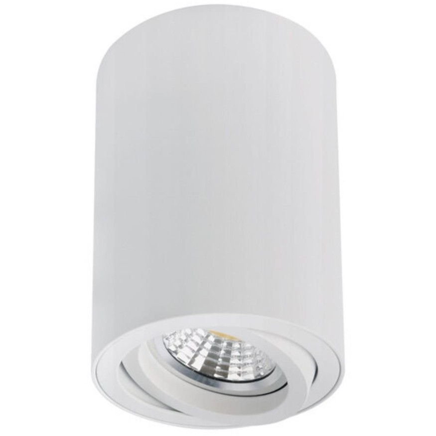 Точечный накладной светильник Arte Lamp SENTRY A1566PL-1WH
