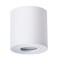 Уличный потолочный светильник Arte Lamp A1460PL-1WH GALOPIN IP44 под лампу 1xGU10 35W