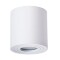 Уличный потолочный светильник Arte Lamp A1460PL-1WH GALOPIN IP44 под лампу 1xGU10 35W