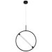 Подвесной светильник Arte lamp DOLORES A2565SP-1BK