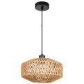 Подвесной светильник Arte Lamp BRUSHWOOD A7087SP-1BK
