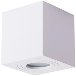 Уличный потолочный светильник Arte Lamp A1461PL-1WH GALOPIN IP44 под лампу 1xGU10 35W