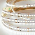A2424010-01-3K Светодиодная лента 24В 19,2Вт/м 1800Лм/м 3000К CRI 90+ 10мм SMD2835 240шт/м 5м IP20
