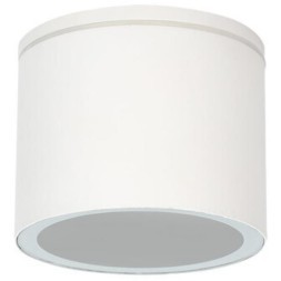 Уличный потолочный светильник Arte Lamp PIAUTOS A1913PF-1WH