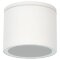 Уличный потолочный светильник Arte Lamp PIAUTOS A1913PF-1WH