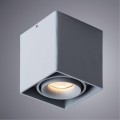 Точечный накладной светильник Arte Lamp PICTOR A5654PL-1GY