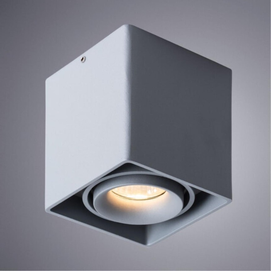 Точечный накладной светильник Arte Lamp PICTOR A5654PL-1GY