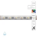 Arte Lamp A2406012-04-RGB3K Светодиодная лента влагозащищенная RGB+3000K, длина 5м, ширина 12 мм, SMD5050 14,4Вт/м (на канал 3,6Вт/м) 590Лм/м (R:75Лм G:190 B:45 W: 280) 120° CRI90+ IP65 24В, кратность резки 100мм, -20°...+45°C