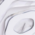 Потолочный светильник Arte Lamp MULTI-PIUMA A1398PL-1CL