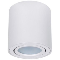 Точечный накладной светильник Arte Lamp BEID A1513PL-1WH