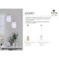 Подвесной светильник Arte Lamp BARRY A7951SP-1GO