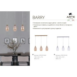 Подвесной светильник Arte Lamp BARRY A7951SP-1GO