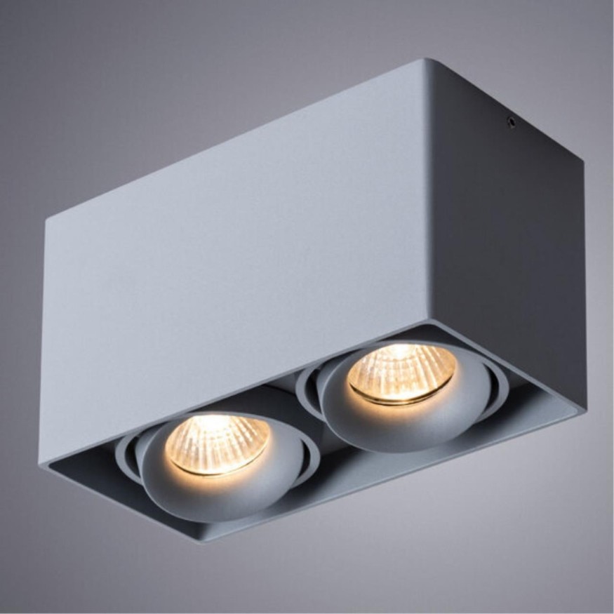 Точечный накладной светильник Arte Lamp PICTOR A5654PL-2GY