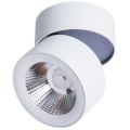 Подвесная люстра Arte lamp THEEMIN A4068LM-12SG