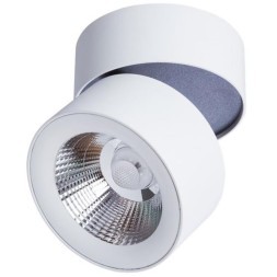 Подвесная люстра Arte lamp THEEMIN A4068LM-12SG