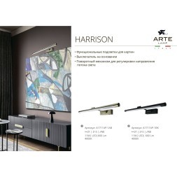 Подсветка для картин Arte Lamp HARRISON A1716AP-1AB