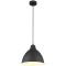 Подвесной светильник с 1 плафоном Arte Lamp A2055SP-1BK BRACCIO под лампу 1xE27 60W