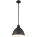 Подвесной светильник с 1 плафоном Arte Lamp A2055SP-1BK BRACCIO под лампу 1xE27 60W