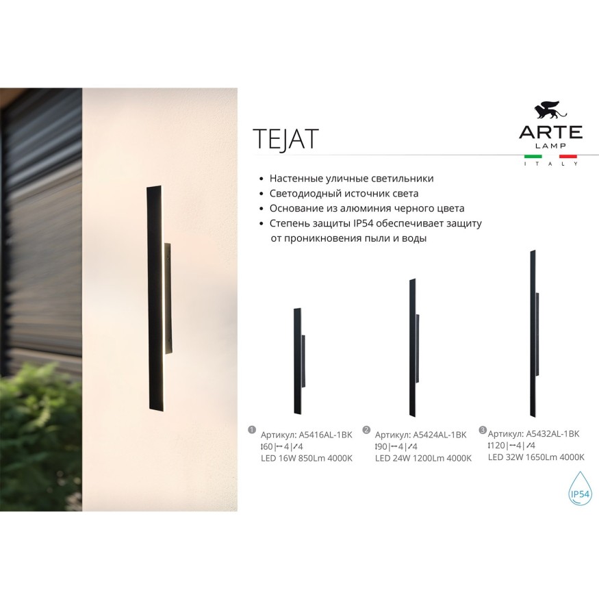 Фасадный светильник Arte Lamp TEJAT A5424AL-1BK