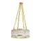 Подвесная люстра Arte Lamp ANETTA A1065SP-8PB