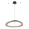 Подвесная люстра ARTE LAMP CINTA A1847SP-46BK