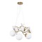Люстра подвесная Arte Lamp A9712LM-6SG