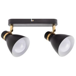 Спот Arte Lamp FAFNIR A5047PL-2BK