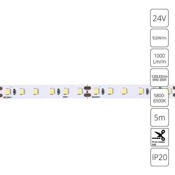 A2412008-03-6K Светодиодная лента 24В 9,6Вт/м 1000Лм/м 6000К CRI 90+ 8мм SMD2835 120шт/м 5м IP20