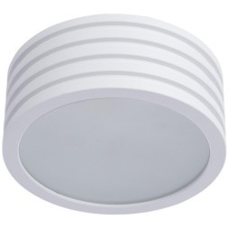 Потолочный светильник влагозащищенный Cervantes 1349/03 PL-1