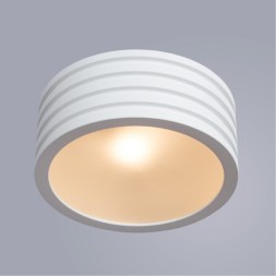 Потолочный светильник влагозащищенный Cervantes 1349/03 PL-1