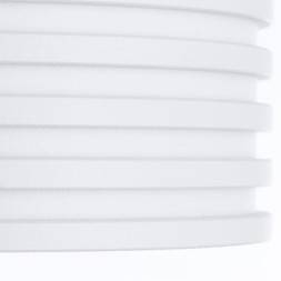 Потолочный светильник влагозащищенный Cervantes 1349/03 PL-1