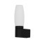 Настенный светильник Arte Lamp A1209AP-1BK