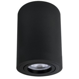 Точечный накладной светильник Arte Lamp SENTRY A1566PL-1BK
