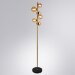 Торшер Arte Lamp GEMINI A2243PN-6PB