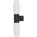 Настенный светильник Arte Lamp A1209AP-2BK