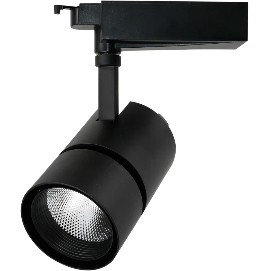 A2450PL-1BK СВЕТИЛЬНИК ПОТОЛОЧНЫЙ