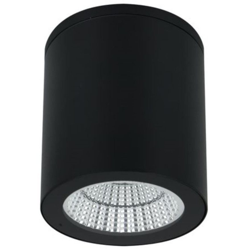 Уличный потолочный светильник Arte Lamp TORCULAR A1813PF-1BK