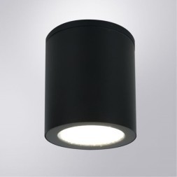 Уличный потолочный светильник Arte Lamp TORCULAR A1813PF-1BK