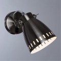 Спот Arte Lamp LUNED A2214AP-1SS